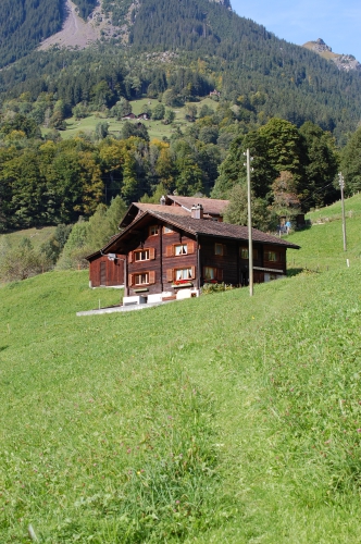 4 1/2 Zimmer Ferienwohnung (linke Hälfte) in Engi / Glarus Süd