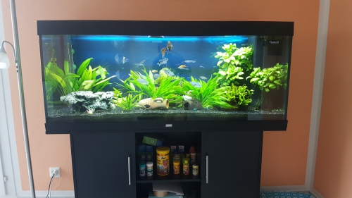 Aquarium Juwel Rio 400