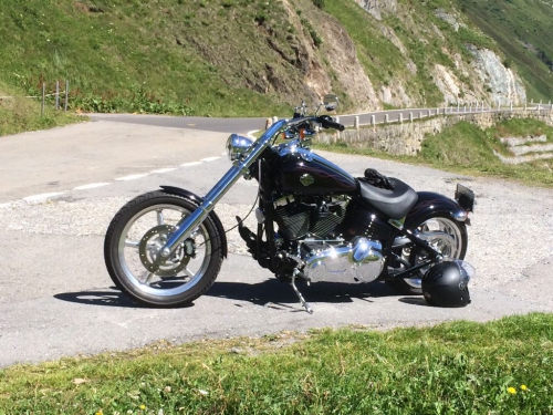 Wunderschöner Harley Davidson sucht neuer Besitzer