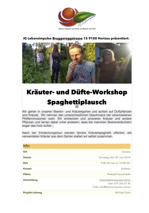 Kräutergarten Workshop