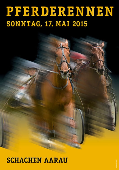 Plakat Pferderennen Aarau