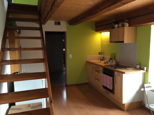 Grosse, schöne, charmante 1.5 Zimmer Wohnung 