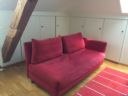 Designer Schlafsofa