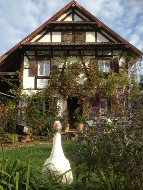 IDYLLISCHE FERIENWOHNUNG AUF ALTEM PFERDEHOF IM ELSASS