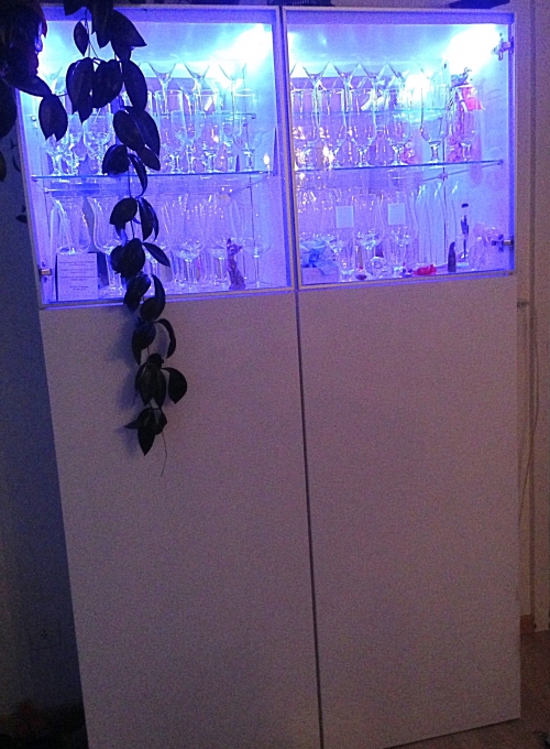 vitrine mit led beleuchtung