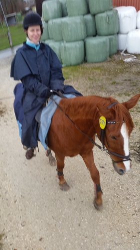 Reitbeteiligung auf Kleinpferd Nähe Basel ÖEV Anschluss