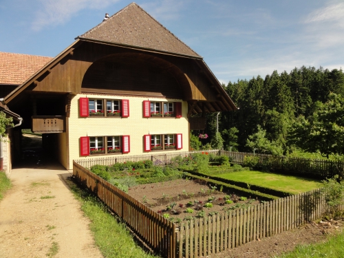 Bauernhaus Wohnung (Lieblingobjekt)