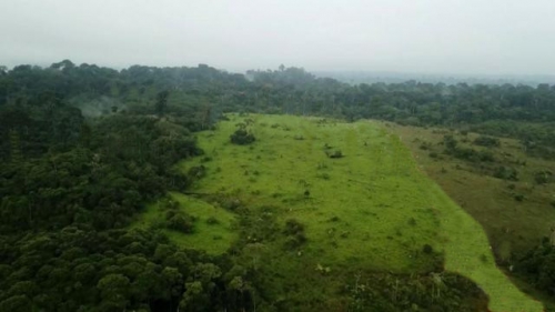 Brasilien 1000 Ha riesengrosses Tiefpreis Grundstück!