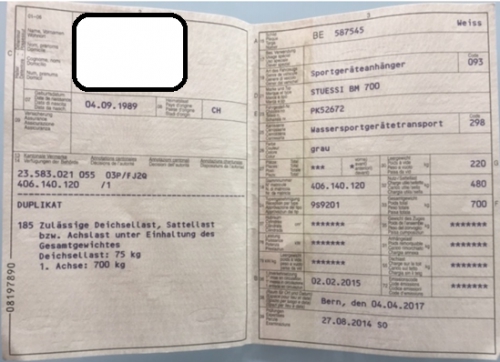 motorisiertes Boot «Schweizer Yverlac