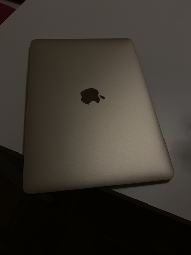 MacBook Gold Retina 2015 12 Zoll 250GB