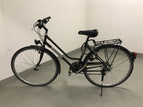 Panasonic Velo für Damen