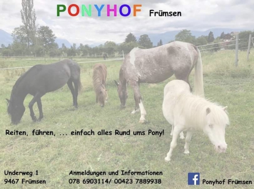 Ponyreiten, führen, Spass haben!