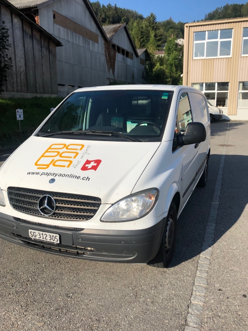 Mercedes Vito