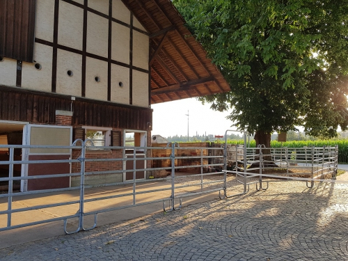 Platz im Barhuf Offenstall Kiesen