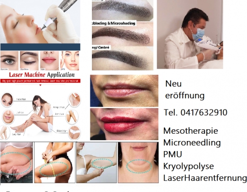 Permanent Make-Up -Mesotherapie/Microneedling/Kryolipolyse 