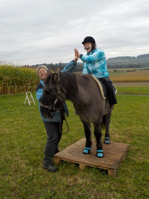 Praktikantin für Reittherapiebetrieb