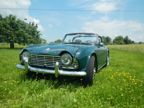 Triumph TR4