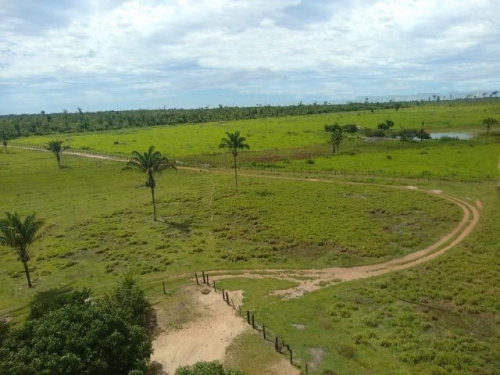 Brasilien 480 HA Rinderfarm Tiefpreis-Grundstück mit Flussantoss