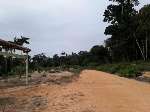  Brasilien 16Ha grosses Tiefpreis Grundstück Region Manaus AM