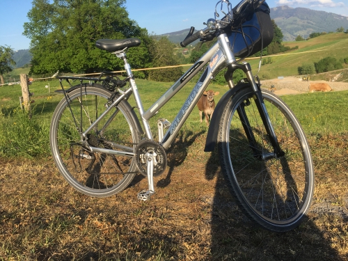 MERIDA Crossway 8800