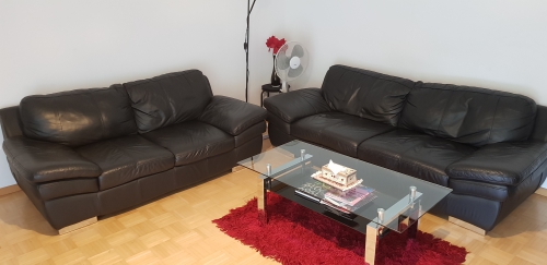 Polstergarnitur Sofa  aus Leder + einen Salontisch