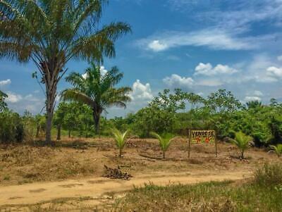 Brasilien in 1000 Ha grosses Tiefpreis-Grundstück investieren!