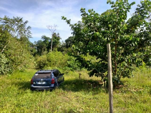 Brasilien Millionär werden mit Landkauf!