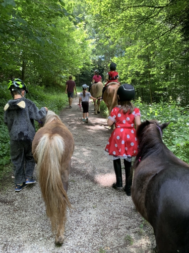 Sommerferien mit dem Pony / BE