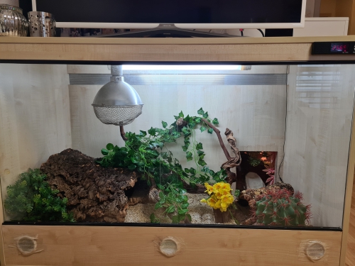 Schönes Terrarium zu verkaufen 