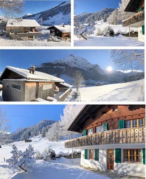 Ferienwohnung in Adelboden beim «Chuenisbärgli» – Chalet Bollere