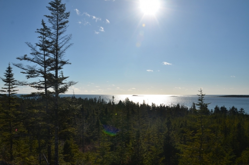 Traumhafte Baugrundstücke am Atlantik in Novia Scotia Kanada