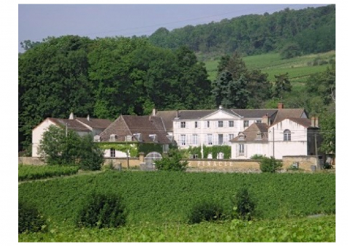Landgut/Herrenhaus mitten in den Weinhängen Burgunds Frankreich