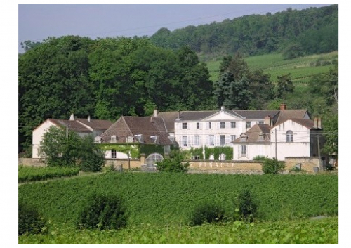  Landgut/Herrenhaus mitten in den Weinhängen Burgunds Frankreich