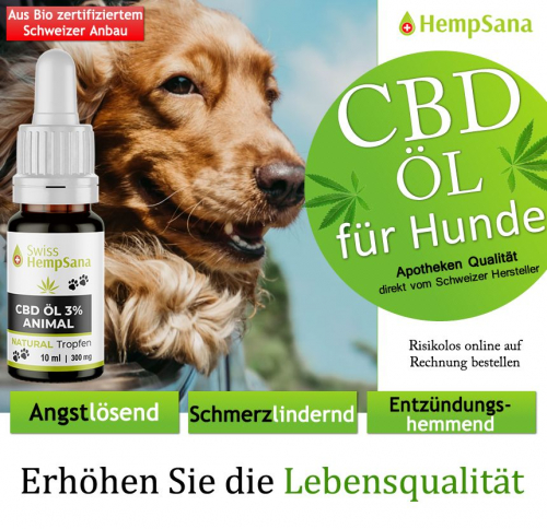 Einsatzgebiet von CBD bei Hunden