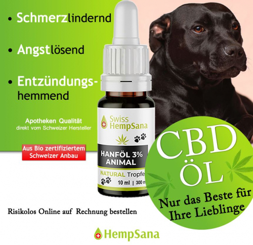 CBD Öl für den Hund