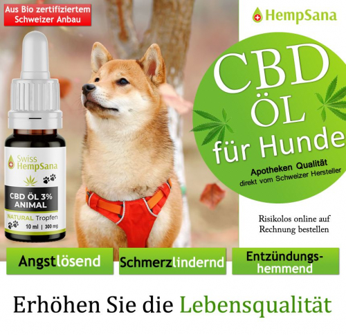 CBD Öl für Ihren Hund