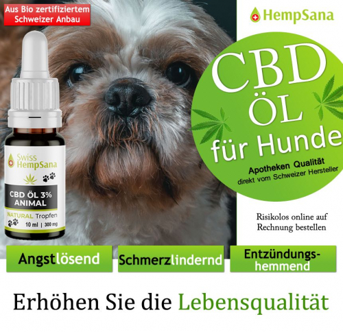 Nutzen von CBD Öl beim Hund