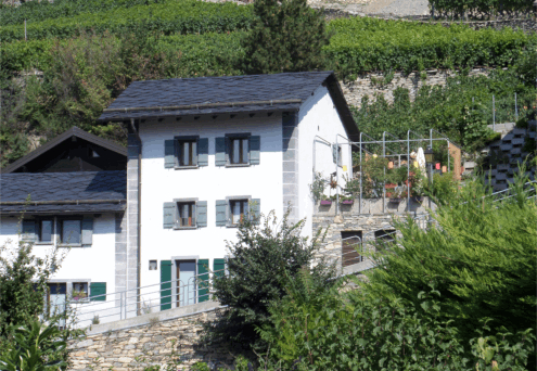 Maison dans les vignes