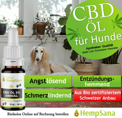 Mehr Lebensqualität bei Hunden dank CBD