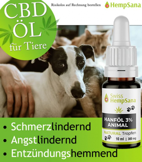 CBD Öl zur Verbesserung der allgemeinen Gesundheit und Wohlbefind