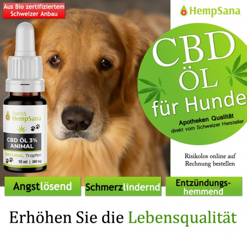 Anwendung von CBD Öl bei Hunden