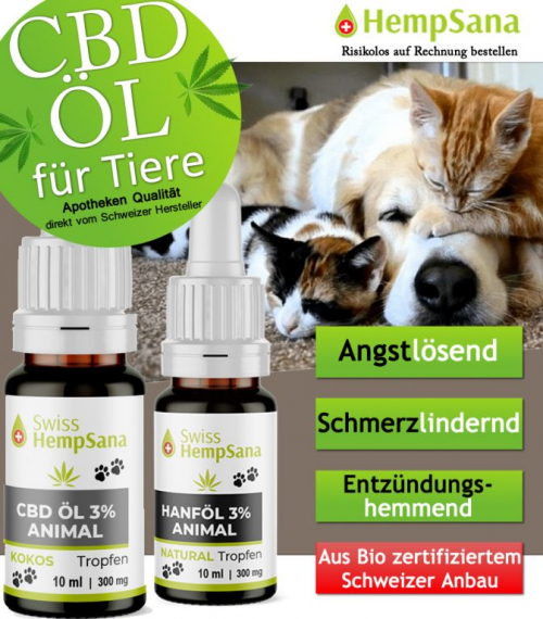 CBD Öl - auch für Tiere eine gute Option