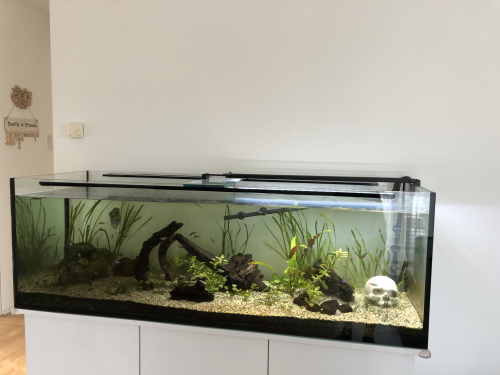 Komplettes 450 Liter Aquarium zu verkaufen