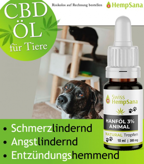 Positive Wirkung des CBD Öls bei Tieren