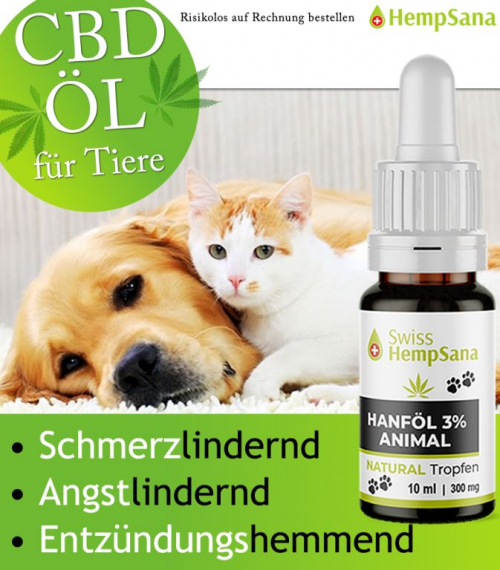 Nutzen von CBD Öl beim Hunden und Katzen