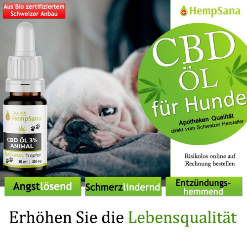 Wirkung und Nutzen von CBD Öl bei Hunden