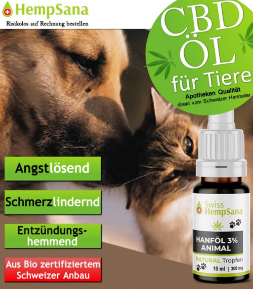 CBD Öl für Ihr Haustier (Katze / Hund)
