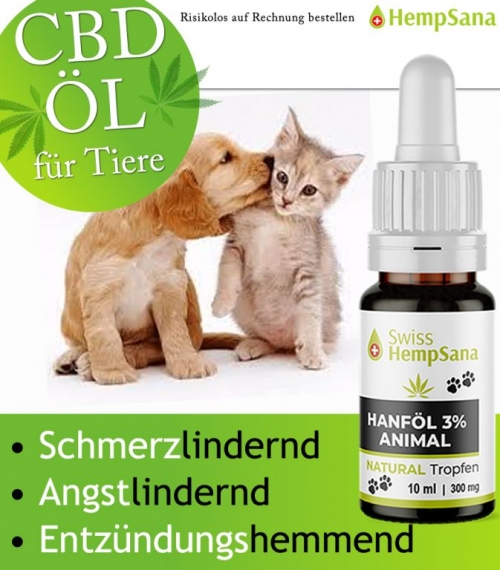 Hochwertiges CBD Öl für Hund und Katzen (Bio-Suisse zertifizierte