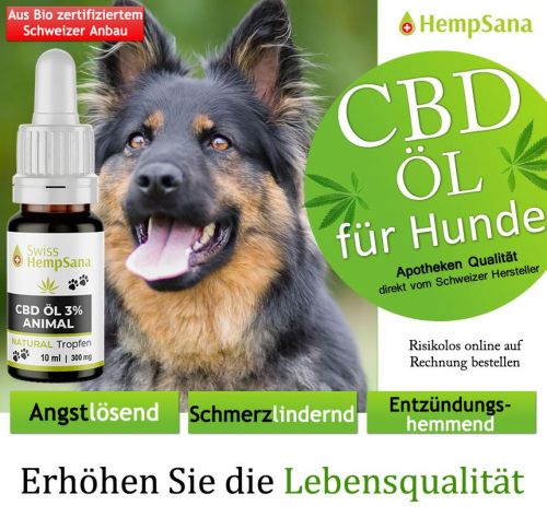 Hempsana CBD Öl für Ihren Vierbeiner