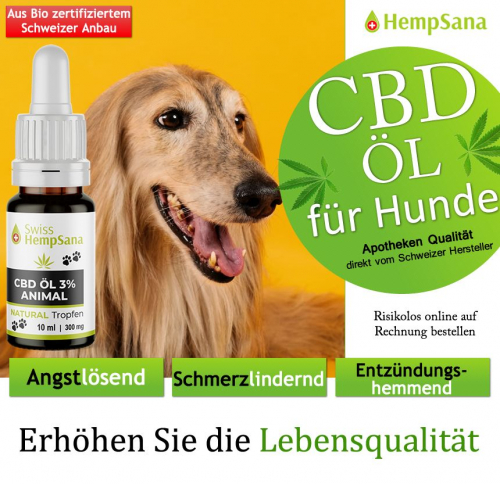 Positive Wirkung des CBD Öls bei Hunden